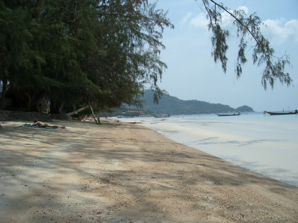 Click to See Next Image